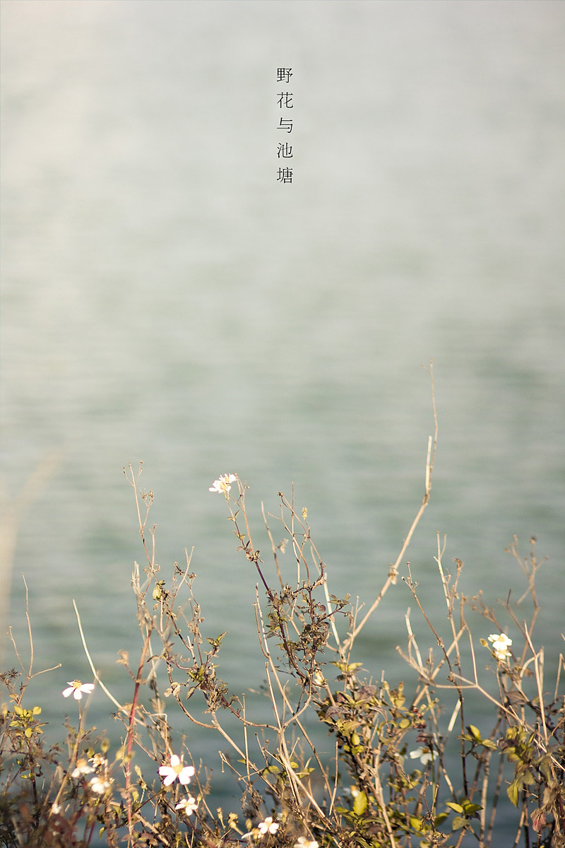 《一些有故事的照片》（图ZMTM5OTAzMjQ=） - 风光摄影 - 站酷设计师michaelpst原创素材 - 站酷ZCOOL