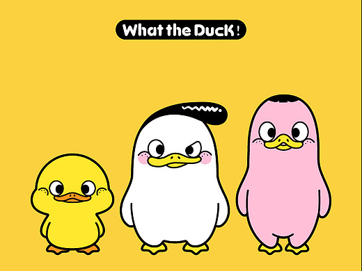 《what the duck》什么鸭原创ip