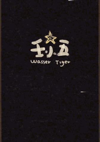 老虎星球Tiger Planet(IP design)