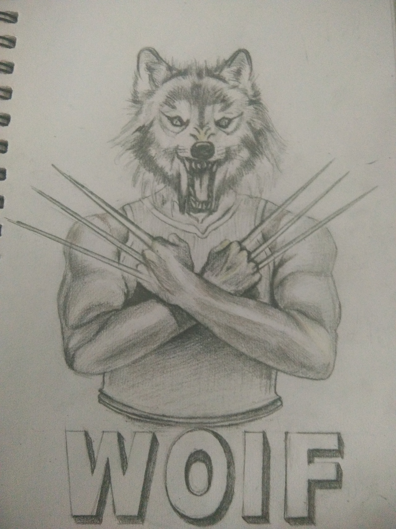 设计素描  金刚狼