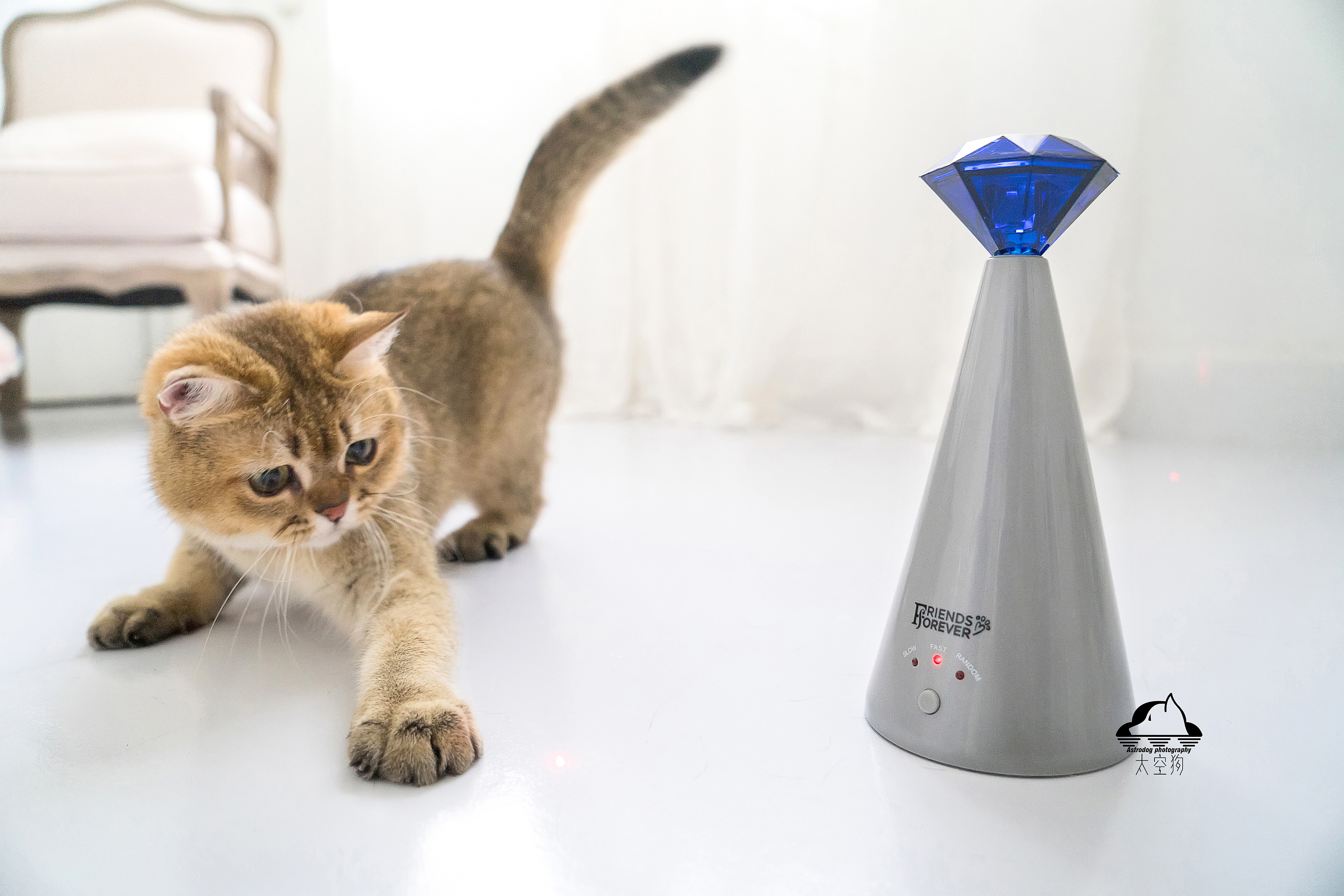 宠物产品拍摄 美亚在售智能猫钻石激光塔玩具