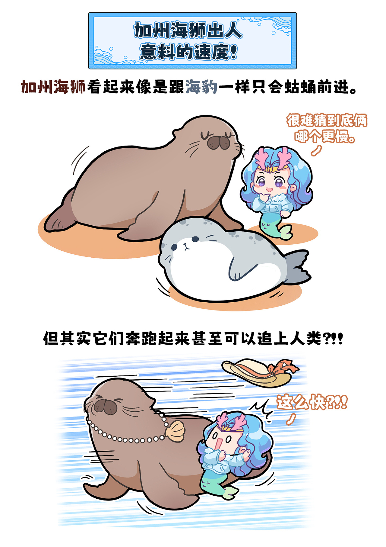 随风奔跑自由是方向~