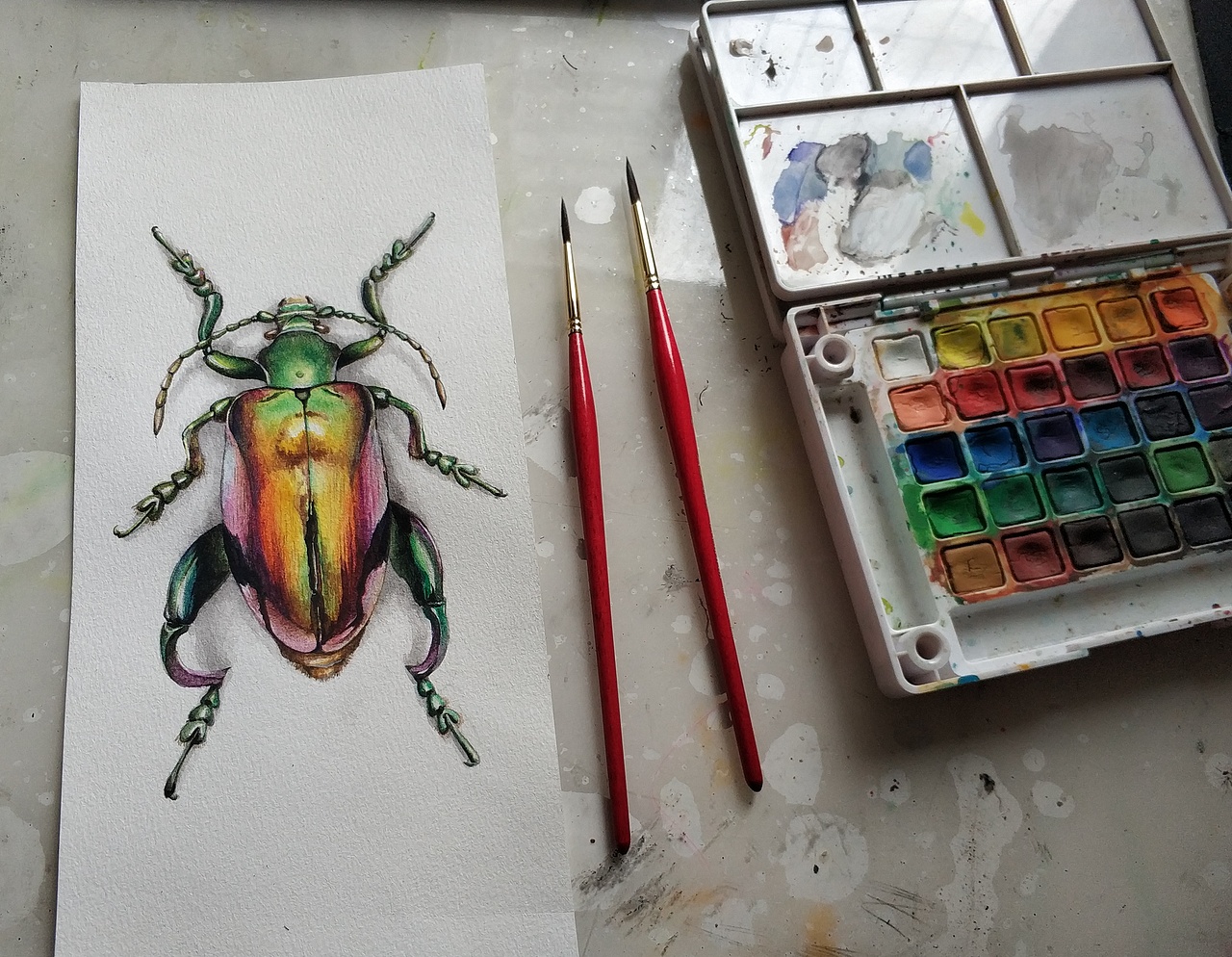 水彩甲虫（图ZMTIwMTY0NDky） - 绘画 - 站酷设计师山马霖原创素材 - 站酷ZCOOL