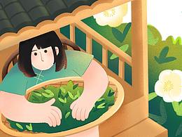 叶子与茶丨插画设计