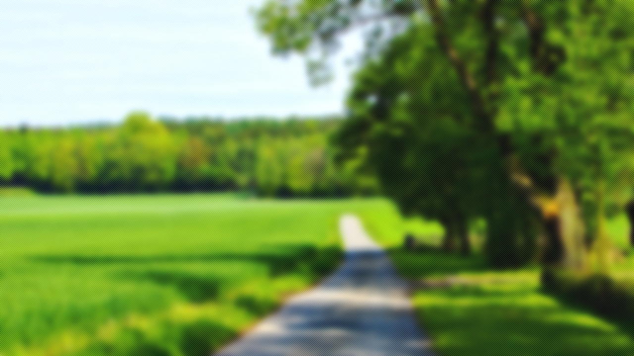 一种类似半调网屏的滤镜模糊背景（图ZMzEwNjMzNTI=） - 图案 - 站酷设计师成吨设计师原创素材 - 站酷ZCOOL