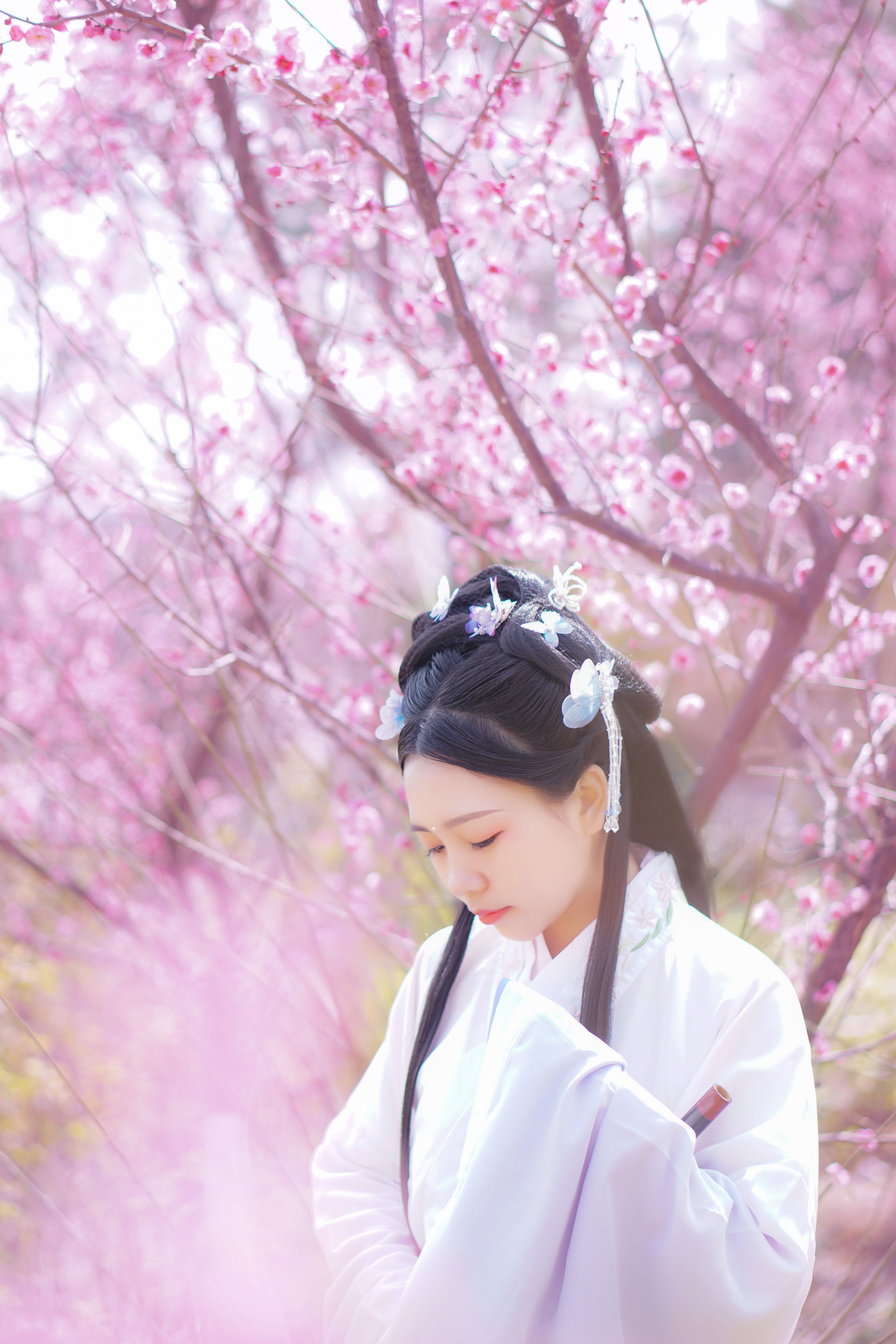 三月桃花红【古风摄影】