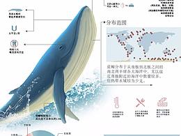 海洋信息系統(tǒng)設(shè)計
