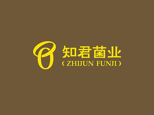 知君菌业品牌形象设计