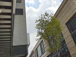 2121年7月的最后一周