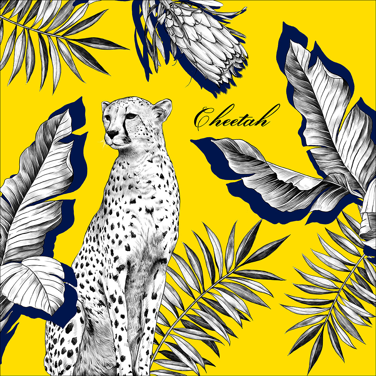 热带雨林(一)|插画|商业插画|稀饭下寒菜_原创作品-站酷zcool