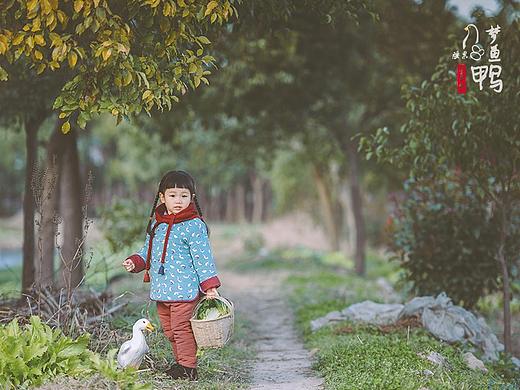 梦鱼和白鸭