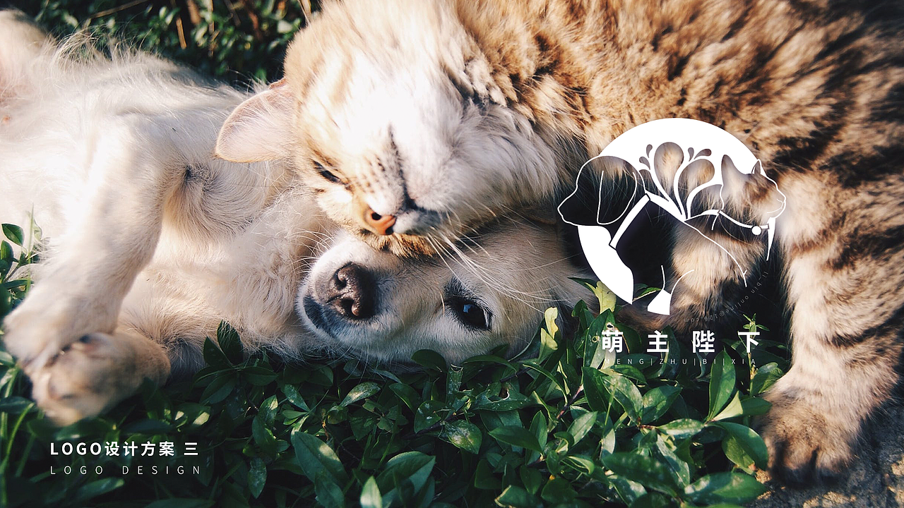logo——宠物行业