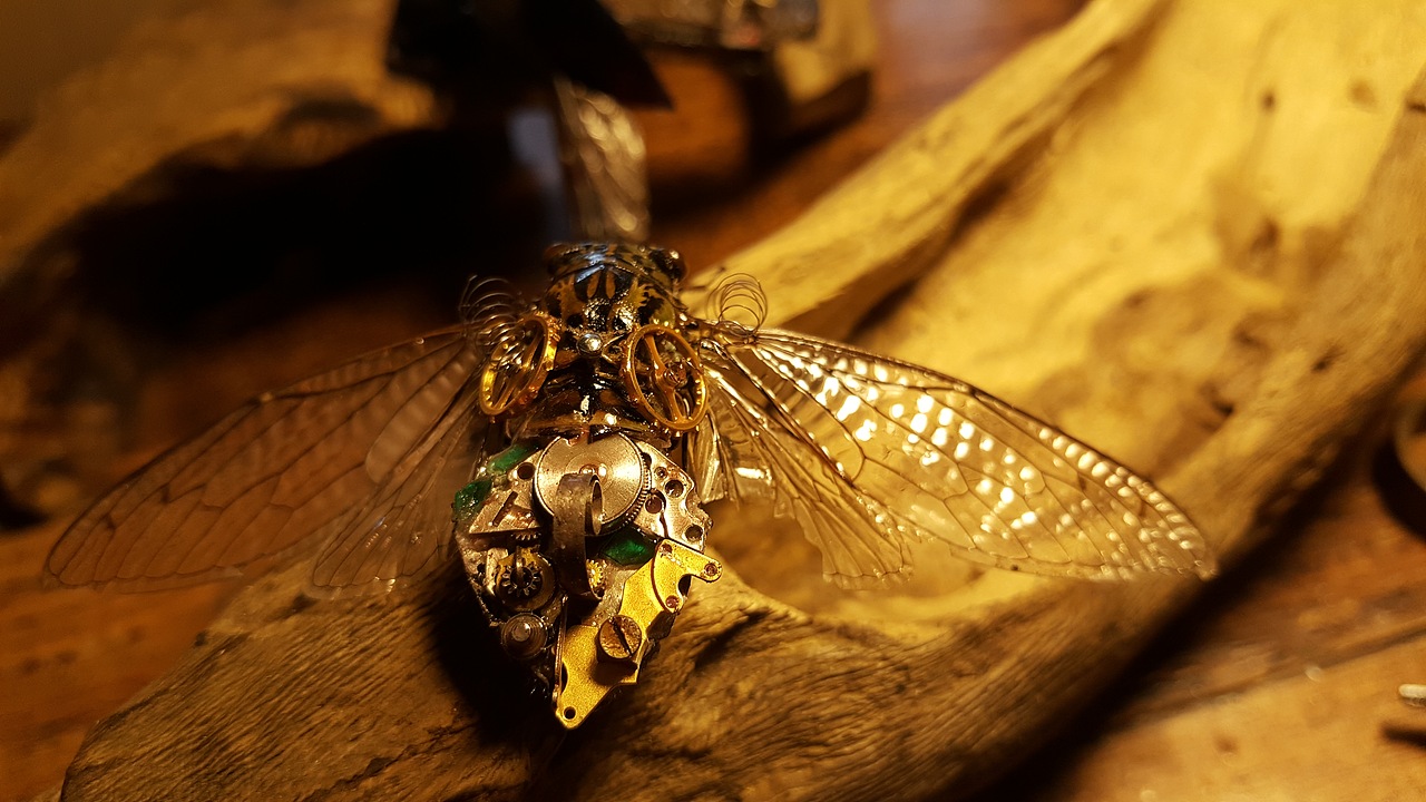 朋克昆虫的世界