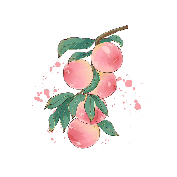 插画水果合集(24节气)