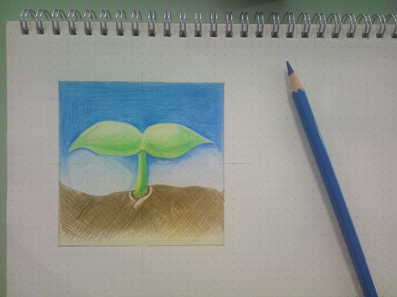 小绿牙破土而出,开始新的人生旅程!