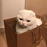 露萤清夜的头像