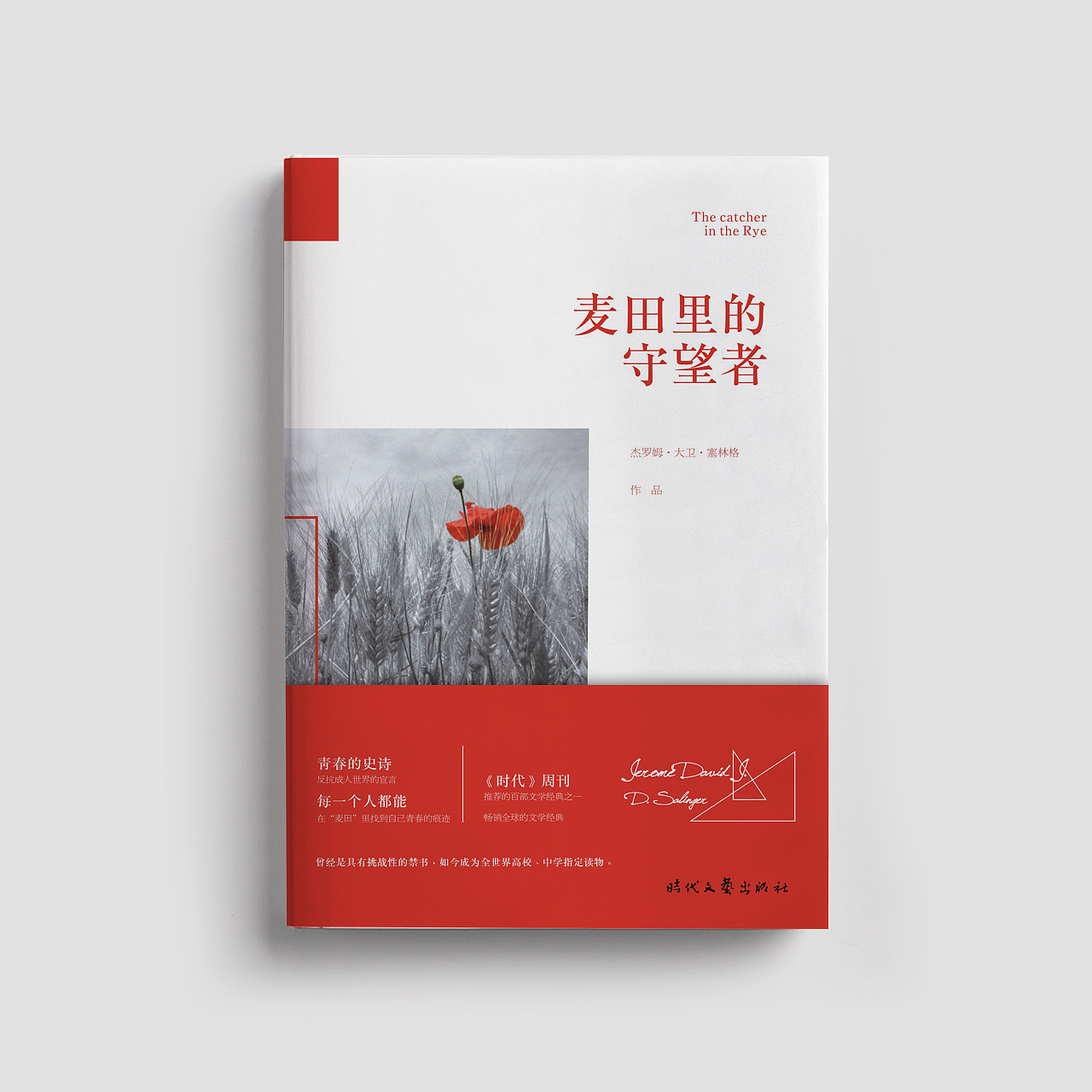 书籍封面设计合集 · 文学类(三)