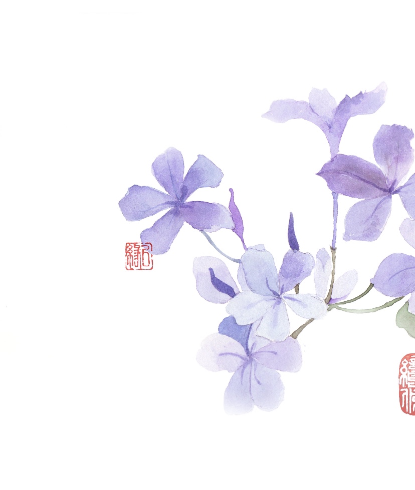 阿呆Pauline的個人主頁（背景預(yù)覽） - 主頁背景設(shè)置 - 站酷設(shè)計師阿呆Pauline原創(chuàng)素材 - 站酷ZCOOL