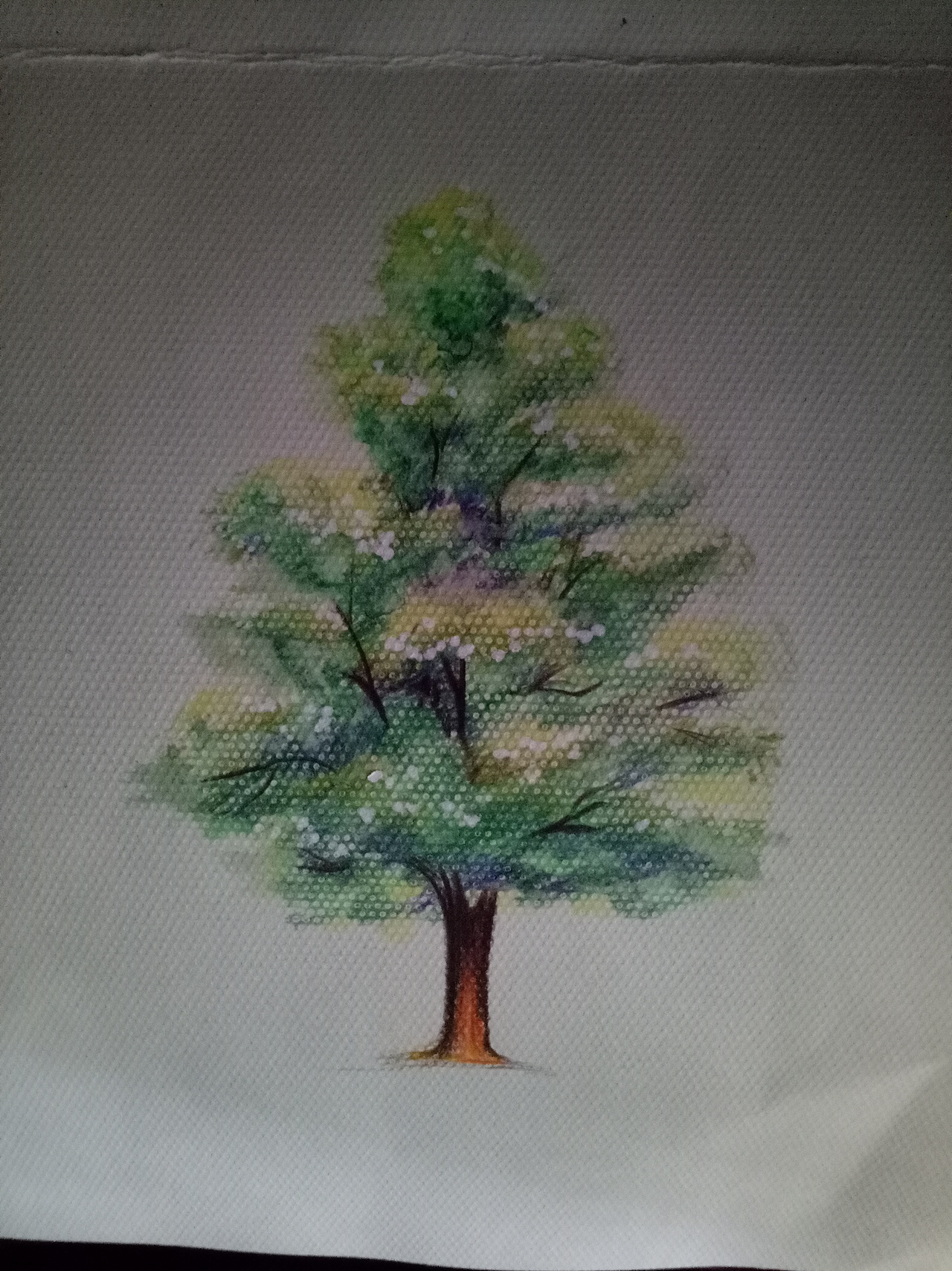 分享收藏商业插图人物画我的大学彩铅素描节日系列简易插画由心而动