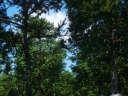 找工作啦！！！