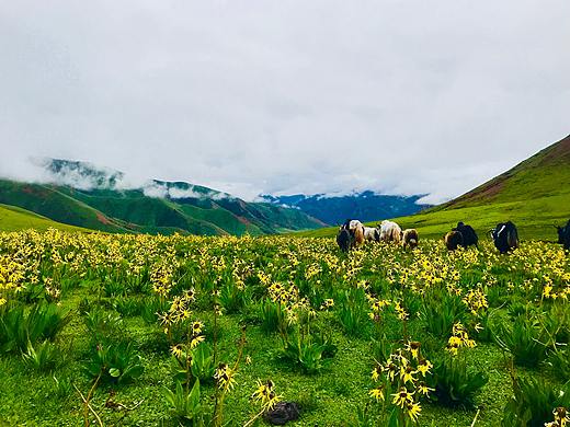 晨（个人主页-ZMzU0MzA0MzY=） - 风光摄影 - 站酷设计师黑宝藏设原创素材 - 站酷ZCOOL
