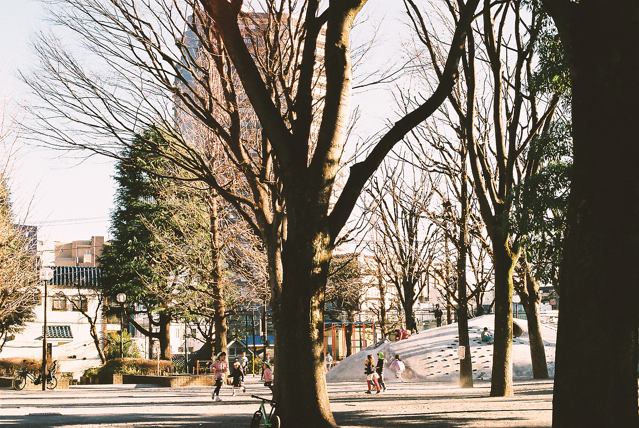 午后漫步(东京)