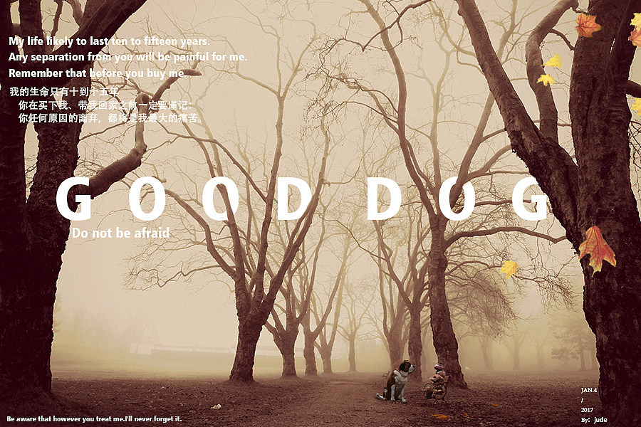 海报练习《好狗狗》