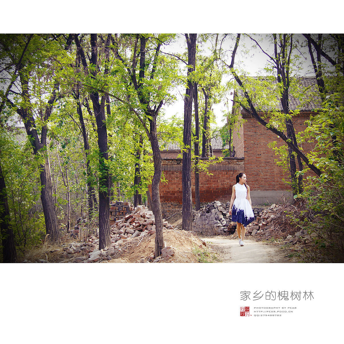 家乡的槐树林（图ZMTU4ODMwOTI=） - 人像摄影 - 站酷设计师pear1103原创素材 - 站酷ZCOOL