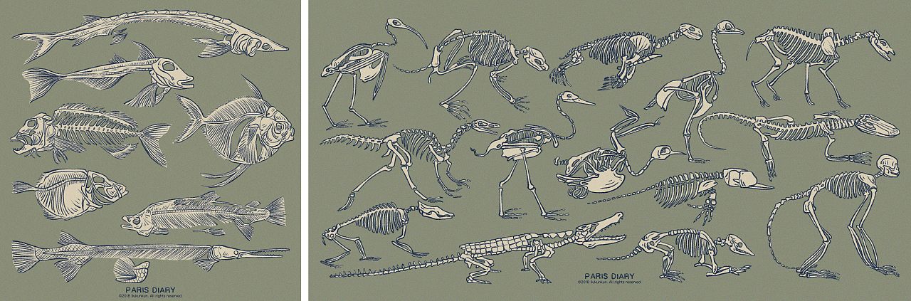 #2019青春答卷#《巴黎日记》绘本