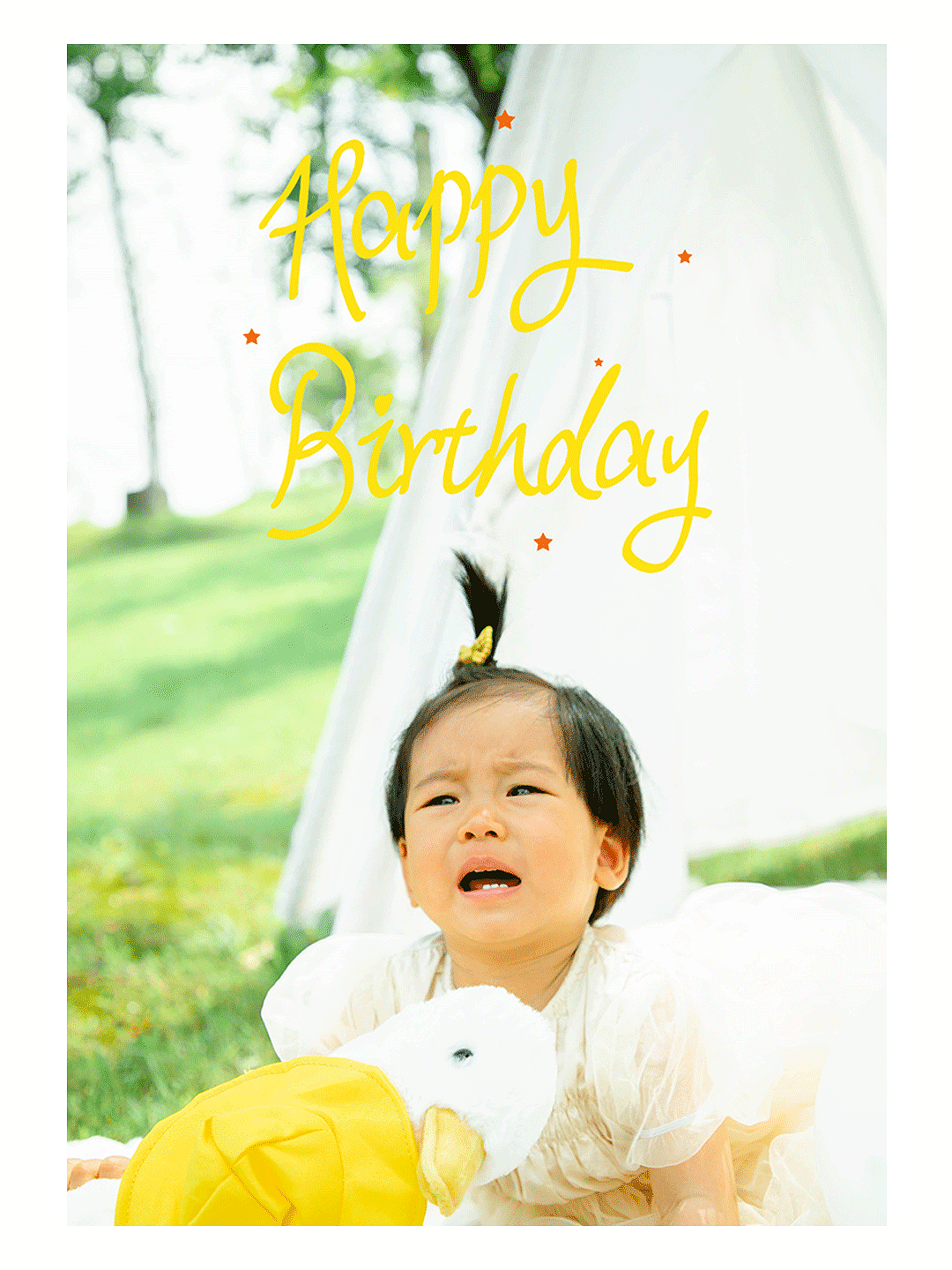 #皮皮的一周岁#