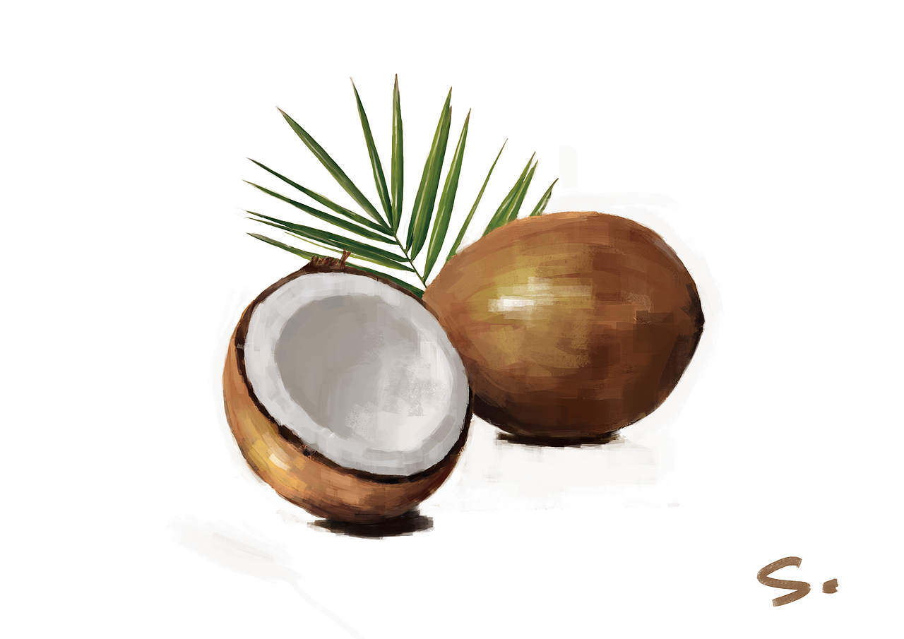 以前帮师兄做的外包~大概是给儿童书做图解用的吧2333（图ZOTc5NTIzMjQ=） - 艺术插画 - 站酷设计师弶莜哒丶原创素材 - 站酷ZCOOL