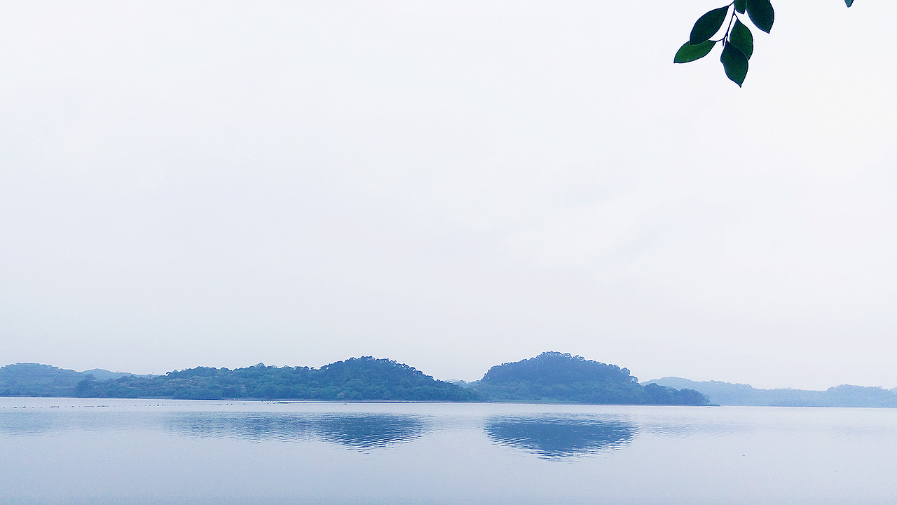 东莞同沙公园手机随拍