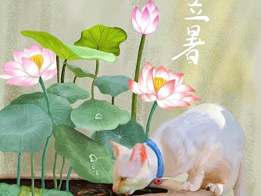夏日荷花