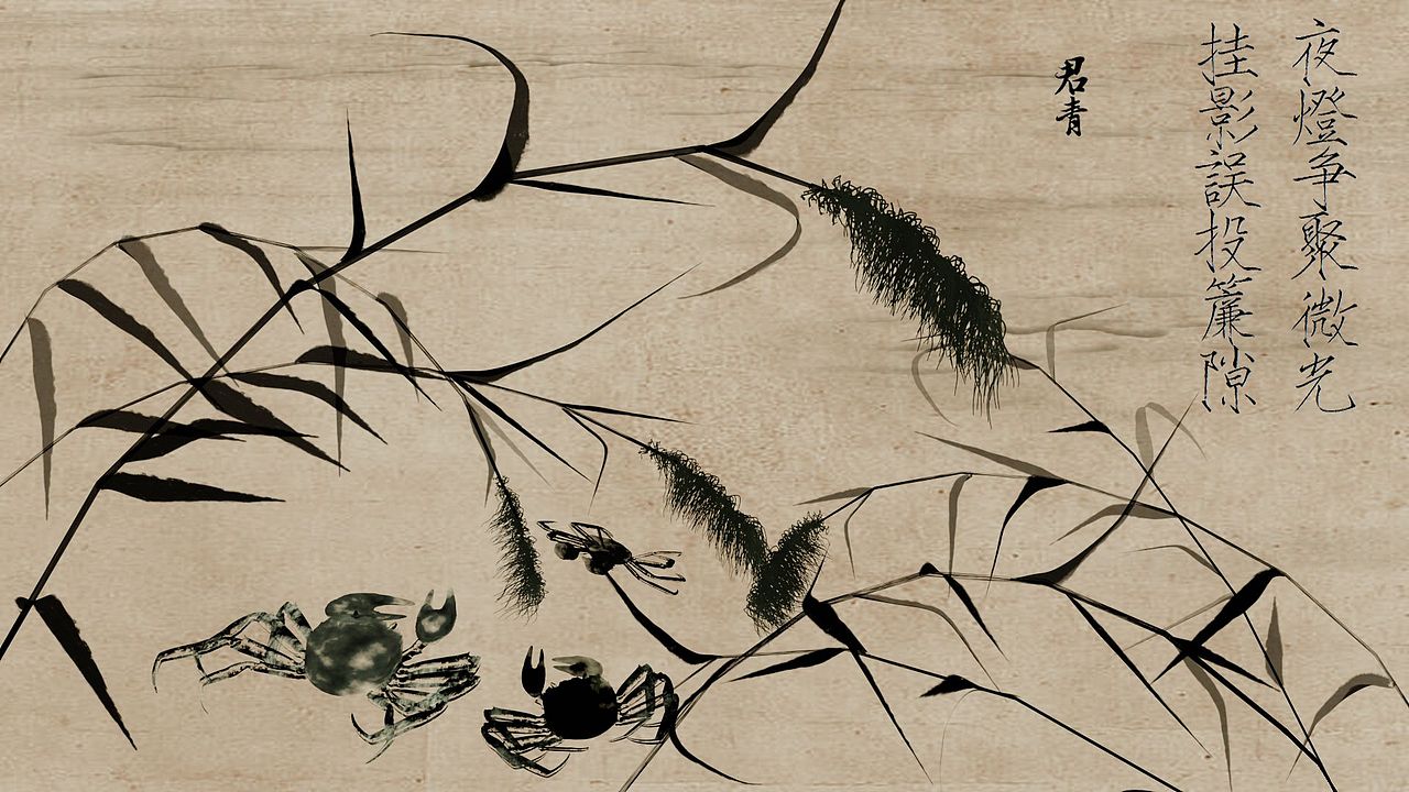 Blender芦苇螃蟹（图ZMzM3NzcwMTc2） - 人物/生物 - 站酷设计师君青君原创素材 - 站酷ZCOOL