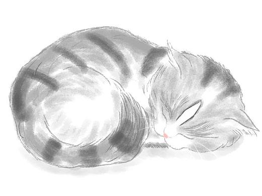 猫咪（个人主页-ZMzMyMzU0MzI=） - 创作习作 - 站酷设计师吴三秋原创素材 - 站酷ZCOOL
