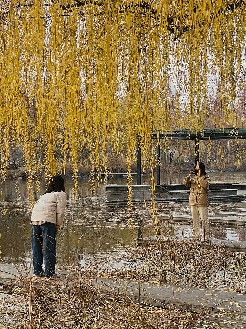到学校取个快递