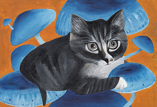 猫 · 流浪（图ZMTQ0Nzg3MDUy） - 艺术插画 - 站酷设计师青豆zoe原创素材 - 站酷ZCOOL