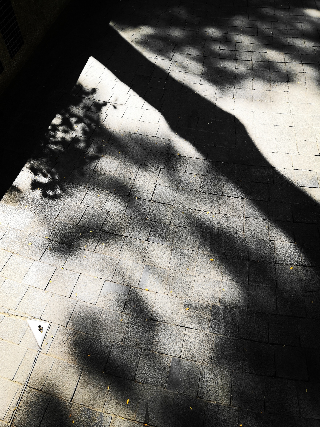 【青】【手机摄影】阳光的颜色