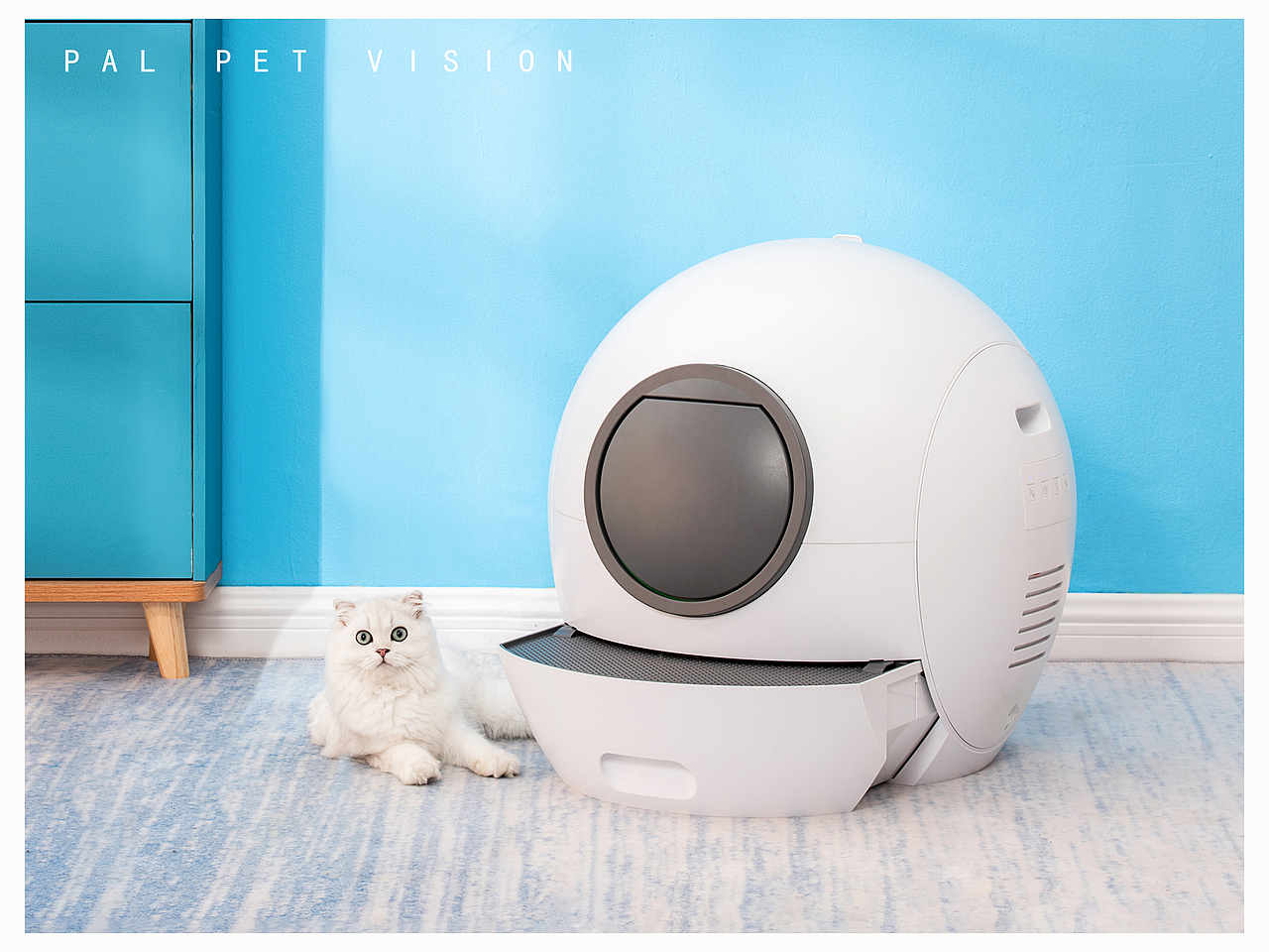 宠物用品摄影猫咪用品宠物智能产品之自动猫砂盆