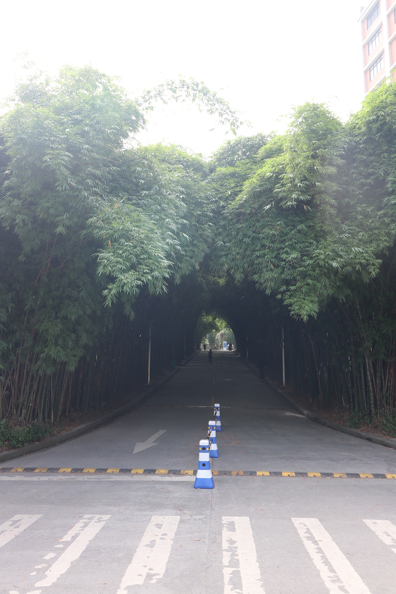 吉首大学（图ZMTMzMjE1MTMy） - 风光摄影 - 站酷设计师梦醒时分sr原创素材 - 站酷ZCOOL