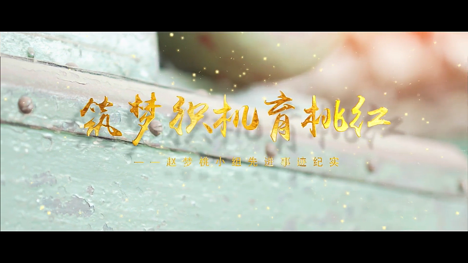 人物纪录片 ：《筑梦织机育桃红》梵曲配音（图ZMjkzMTg2Nzg4） - 宣传片 - 站酷设计师梵曲配音原创素材 - 站酷ZCOOL