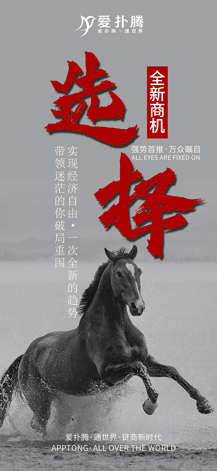 摄影海报照片海报