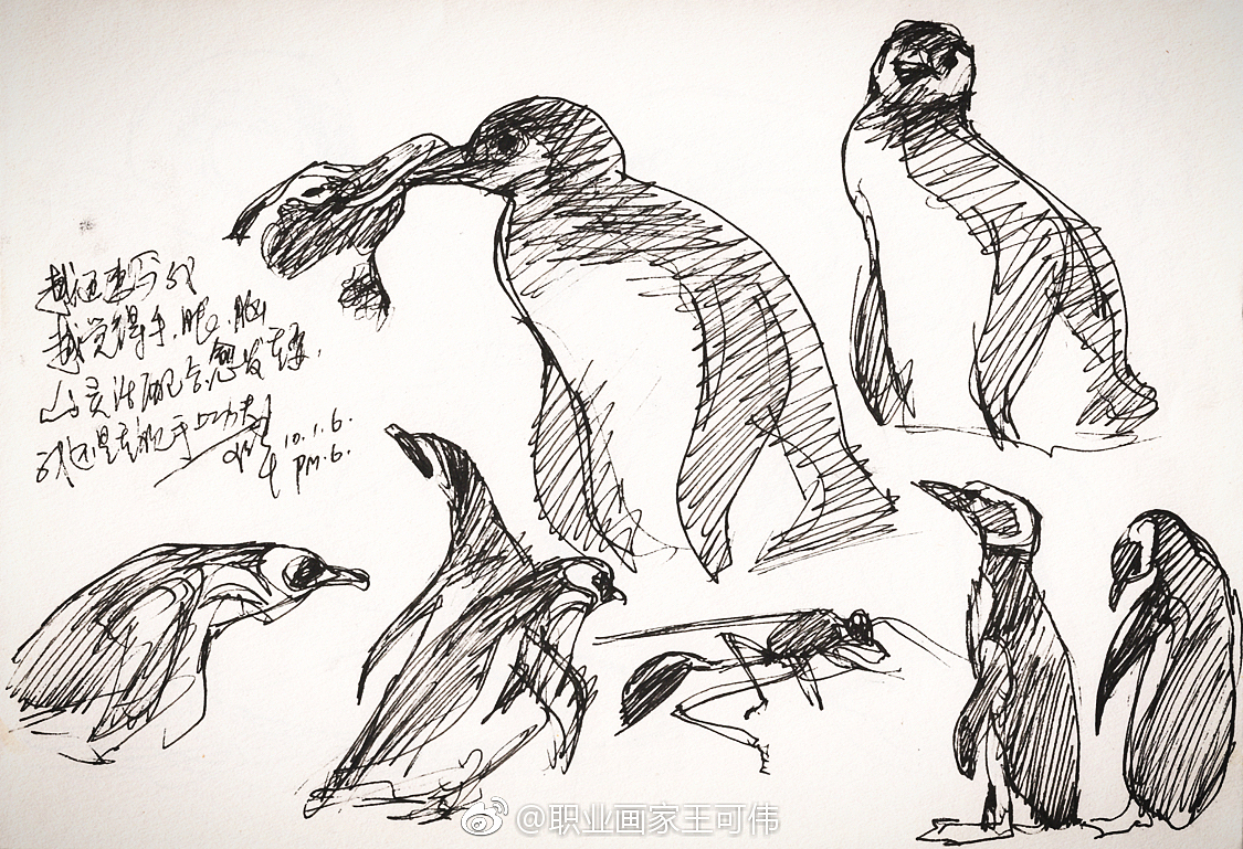 速写"企鹅"