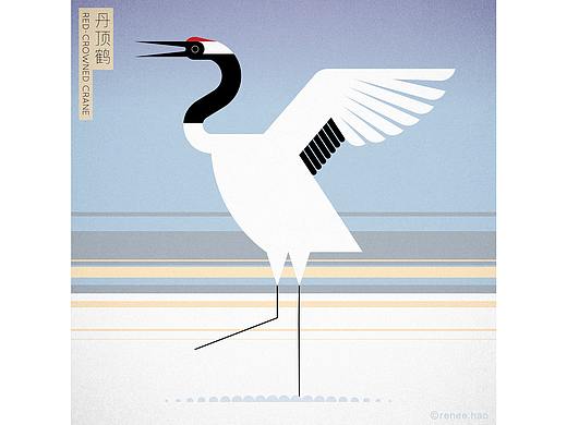 中国鸟 Birds of China - 3x3国际插画大赛获奖