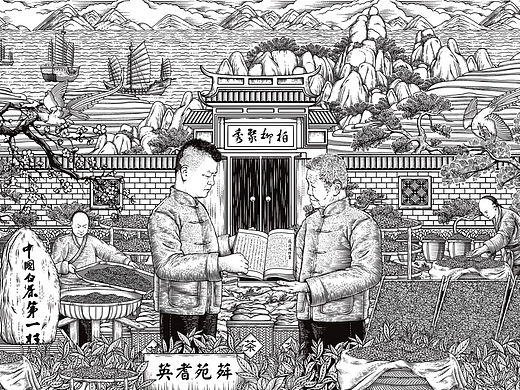 白茶家书传承 制茶工艺  茶山 太姥山 钢笔画 插画手绘