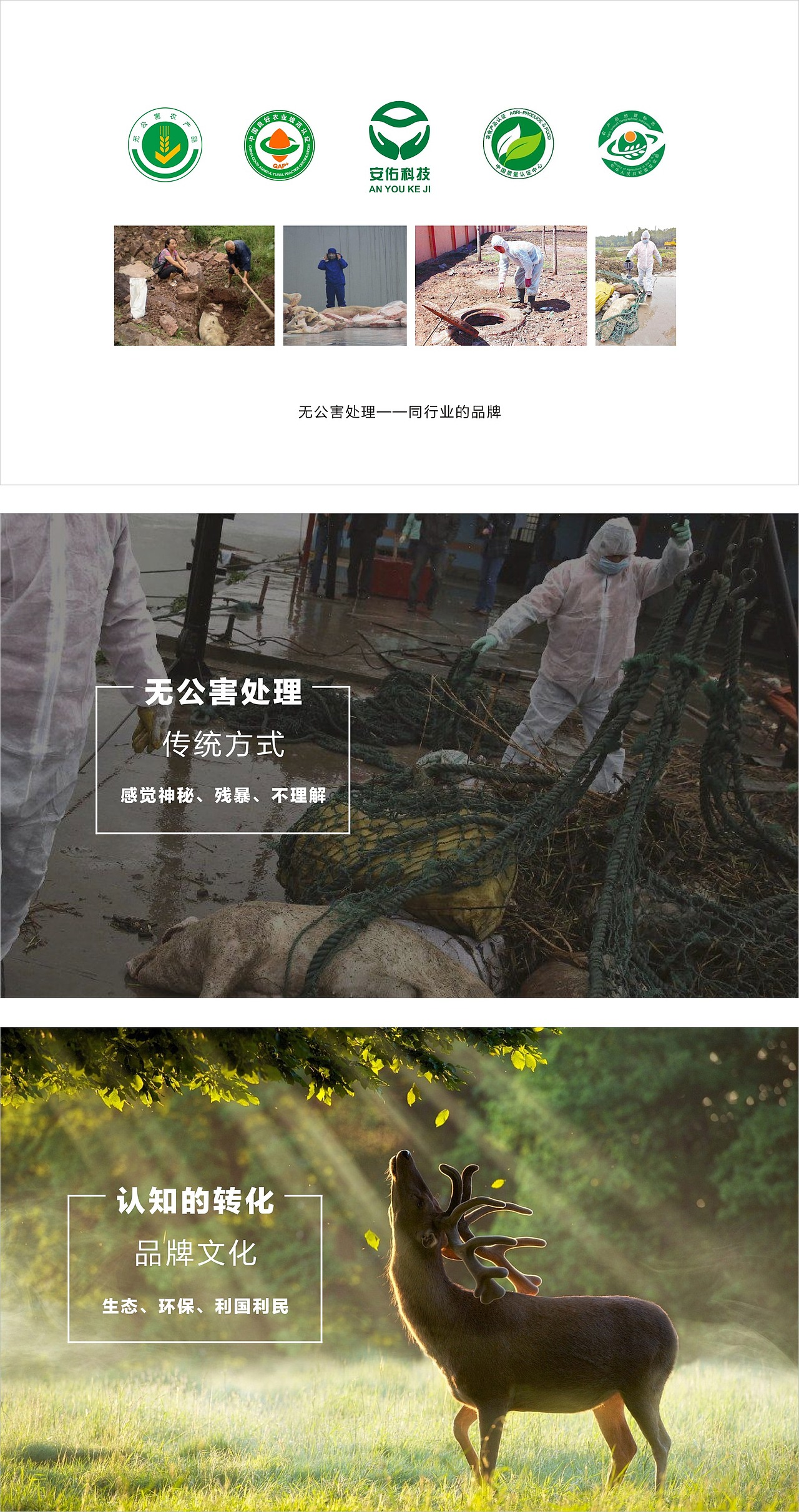 河北瑞沃斯科技品牌升级设计案例