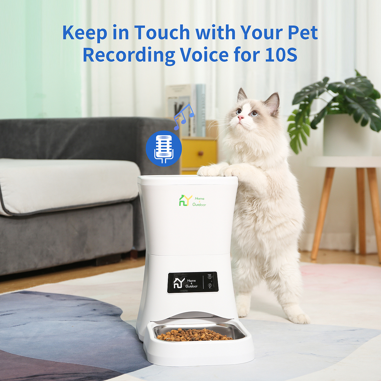 淘宝亚马逊产品拍摄A+商品主图设计视频拍摄宠物用品