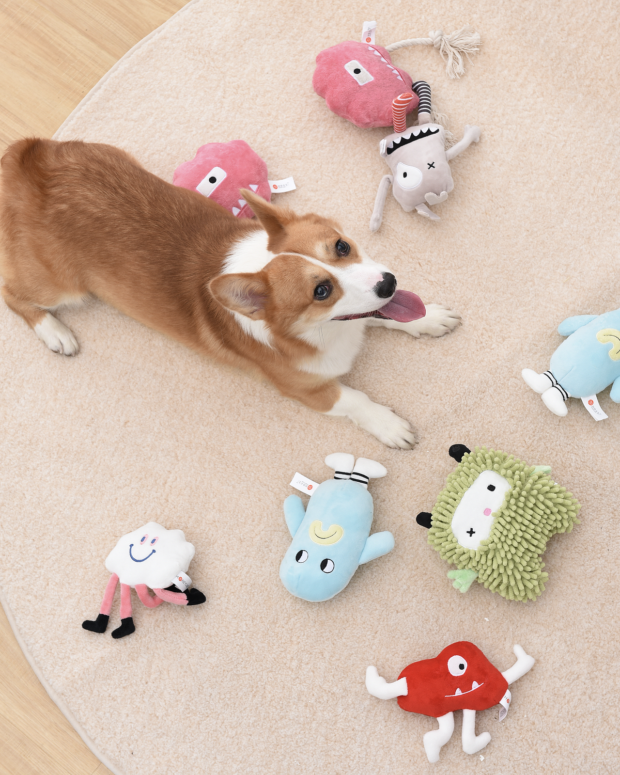 宠物毛绒玩具设计