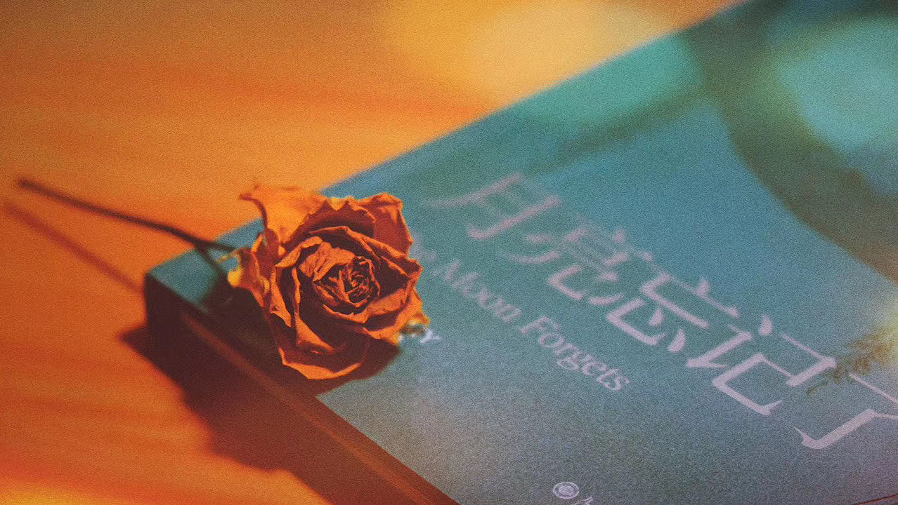 生活碎片 温柔可见（图ZMjEzNTc5Mjk2） - 风光摄影 - 站酷设计师九月ww原创素材 - 站酷ZCOOL