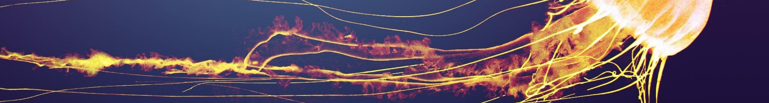 尚小壳设计的个人主页（封面预览） - 主页封面设置 - 站酷设计师尚小壳设计原创素材 - 站酷ZCOOL